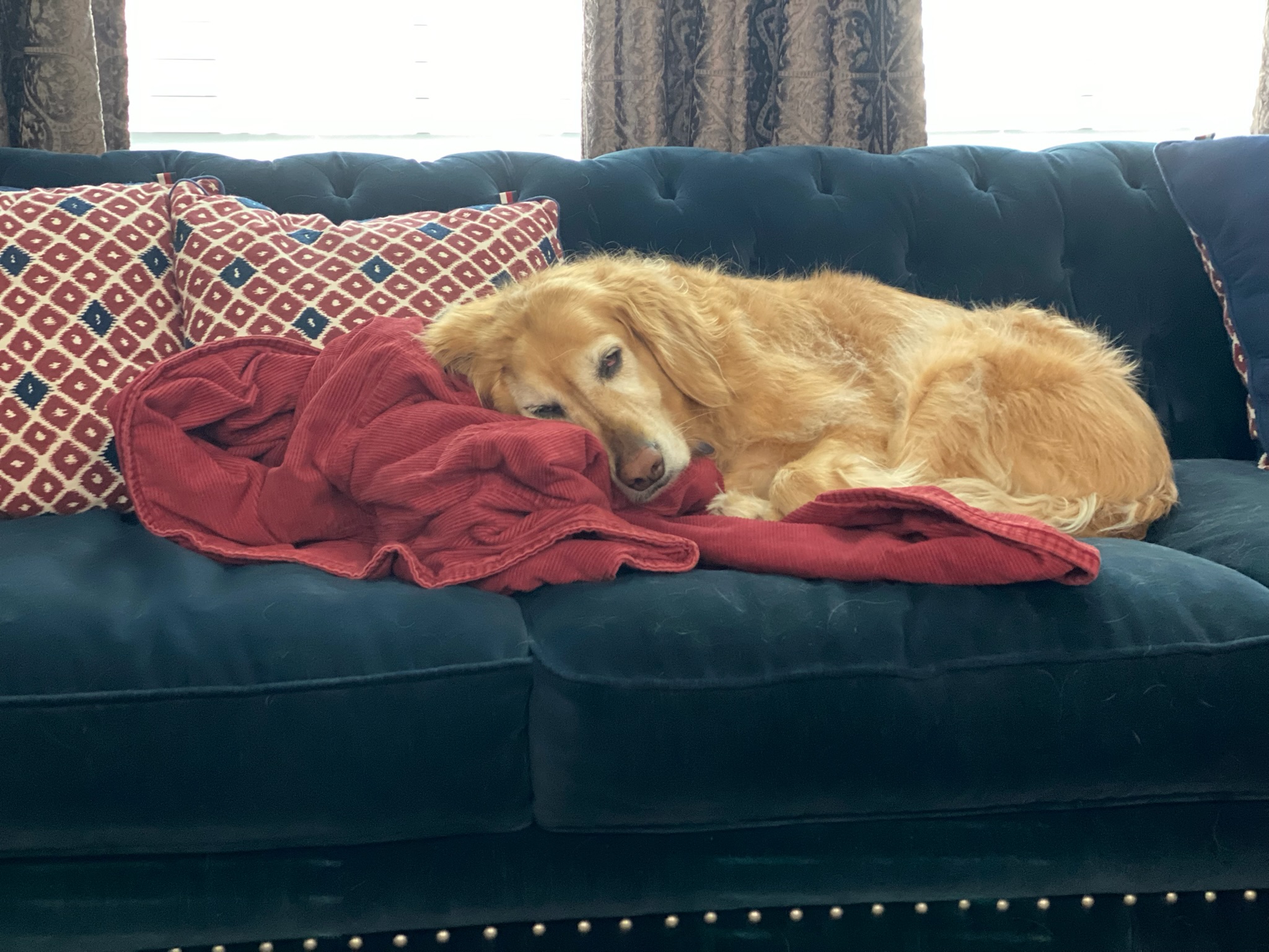 Louie memory